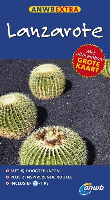 Lanzarote / ANWB Extra - Véronica Reisenegger 9789018033668, Verzenden, Gelezen, Véronica Reisenegger