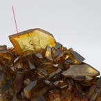 Esthetiek BARITE MIELATA, BITERMINATI en FANTASMI! Sardinië