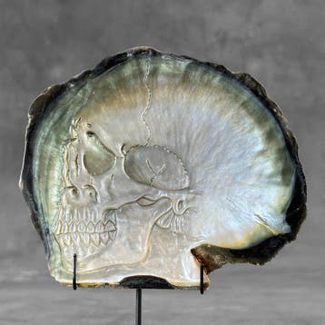 Prachtige met de hand gesneden parelmoer schelp - menselijke