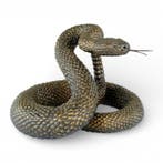 Initials S.J. - sculptuur, Magnificent Rattlesnake - 30 cm -