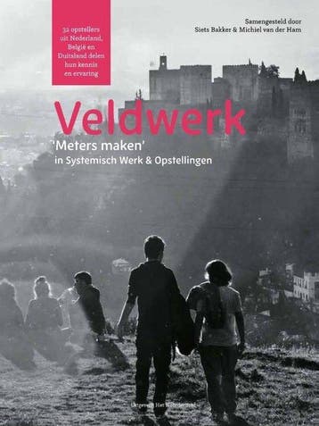 9789492331977 VeldWerk Michiel van der Ham, Verzenden, Nieuw, Michiel van der Ham