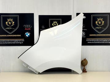 Ford Movano bj.2020 spatbord/voorscherm links Polar White, Auto-onderdelen, Gebruikt, Voor, Ford, Spatbord