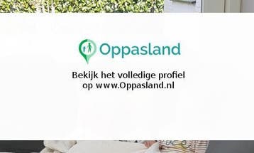 Patrick en Alexandra zoekt een oppas in Huissen voor 2 ki...