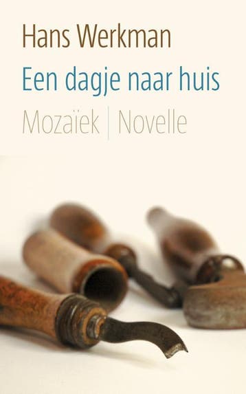 Een dagje naar huis 9789023994312 Hans Werkman, Boeken, Verzenden, Gelezen, Hans Werkman