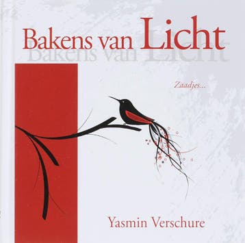 BAKENS VAN LICHT - Y. Verschure 9789063787363, Verzenden, Zo goed als nieuw, Y. Verschure