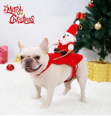 Kerstkleding voor de hond of kat (Kerstmis), Ophalen of Verzenden, Nieuw, Overige hondenkleding