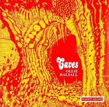 cd - Ollie Halsall - Caves, Verzenden, Zo goed als nieuw
