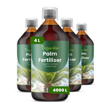Palm Vloeibare Meststof - Set 4x1 liter, Verzenden, Mest