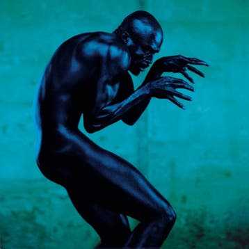 cd - Seal - Human Being, Verzenden, Zo goed als nieuw