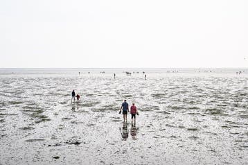 Alessandro Gandolfi - Wadden #1