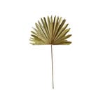 *palmblad tak gedroogd 96cm*, Huis en Inrichting, Verzenden, Nieuw
