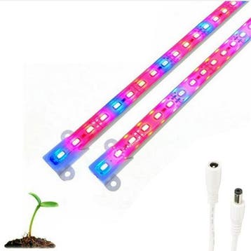 Grow light - Rood/Blauw - 3:1 - 50cm - Waterproof, Ophalen of Verzenden, Nieuw