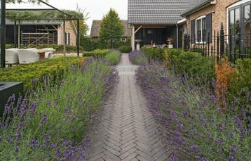 WF60 Carbona Antica gebakken waalformaat zwart..., Ophalen of Verzenden, Nieuw, Keramiek, Klinkers