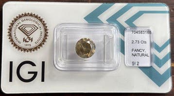 1 pcs Diamant (Natuurlijk gekleurd) - 2.73 ct - Rond - Fancy, Sieraden, Tassen en Uiterlijk, Edelstenen, Nieuw