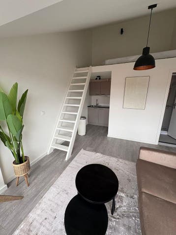 Te huur: Studio Paul Krugerstraat in Haarlem, Huizen en Kamers, Huizen te huur, Noord-Holland, Haarlem