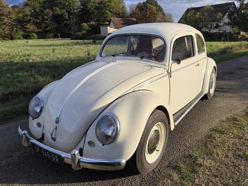Volkswagen - Beetle Oval 1600 - 1955
