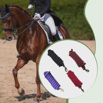 Flexibel Paardrijtouw 250cm Nylon Longeerlijn voor Training, Verzenden, Nieuw