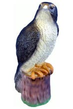 Valk, Verzenden, Nieuw