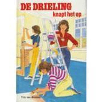De drieling knapt het op - van Brussel, Boeken, Verzenden, Gelezen