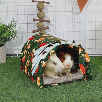 Wasbare Cavia Tunnel met Gordijntjes - Knus Holletje voor Ha, Dieren en Toebehoren, Verzenden, Nieuw