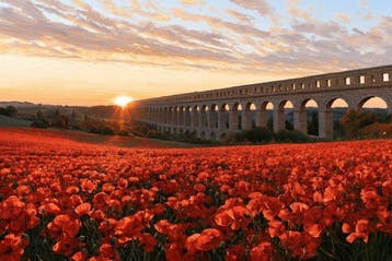 Iconica - The Roman Aqueduct in Poppy Bloom - unique 1/1 XXL
