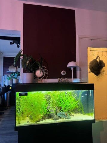 Te huur: Appartement Barbierstraat in Etten-Leur, Noord-Brabant, Etten-Leur, Appartement