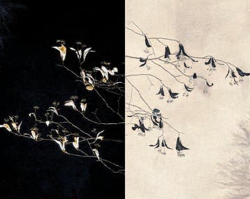 Jorge Omeñaca (1981) - Ramas y flores minimal, Antiek en Kunst