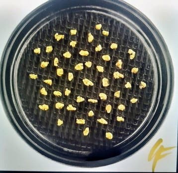 Goud Kavel met verschillende items - Hoogte: 0.5 cm -, Verzamelen