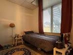 Kamer Hofstraat in Groningen, Overige soorten, Groningen