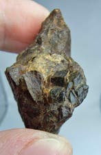 Mesosideriet meteoriet. (NWA 18216) Geen reserveprijs. -