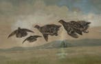 Mario Norfini (1870-1956) - Pernici in volo, Antiek en Kunst, Kunst | Schilderijen | Klassiek