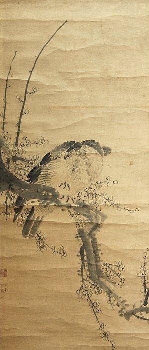 Hawk on Plum Tree - With seal by artist - Japan - Late Edo