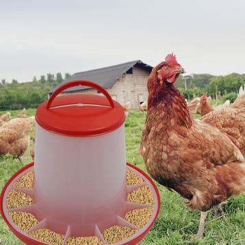 Automatische Kipvoerbak - Verschillende Maten (1.5-12kg) voo, Dieren en Toebehoren, Verzenden, Nieuw