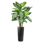 Dieffenbachia kunstplant, H175cm, Ophalen of Verzenden, Overige soorten, 150 tot 200 cm