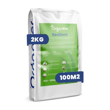 Herstelgazon Graszaad – Resilient (2 kg voor 100 m2), Verzenden, Gehele jaar, Volle zon