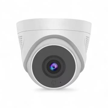 WiFi Beveiligingscamera Dome Plafondmontage Basic, Doe-het-zelf en Verbouw, Alarmsystemen, Ophalen of Verzenden, Nieuw