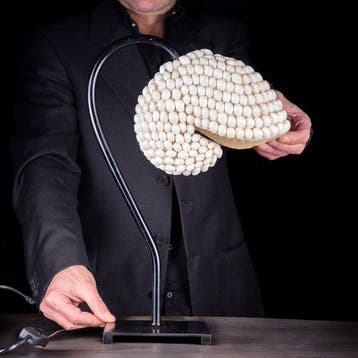 Nautilus Tafellamp - Bedekt met natuurlijke schelpen -