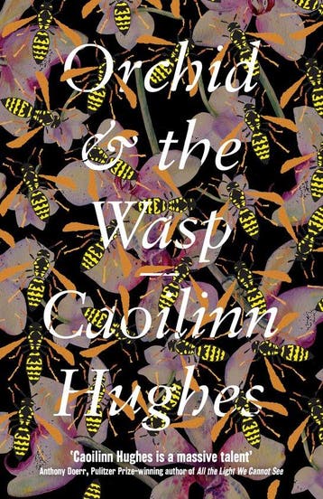 Orchid & the Wasp 9781786074201 Caoilinn Hughes, Verzenden, Gelezen, Caoilinn Hughes