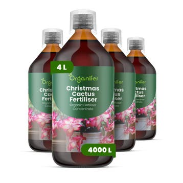 Kerstcactus Vloeibare meststof - 4x1 liter, Verzenden, Mest