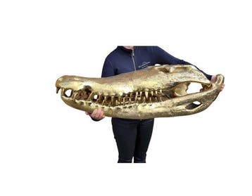 Beeld, XXL -105cm- Bronze Crocodile Skull + Base - 57 cm -
