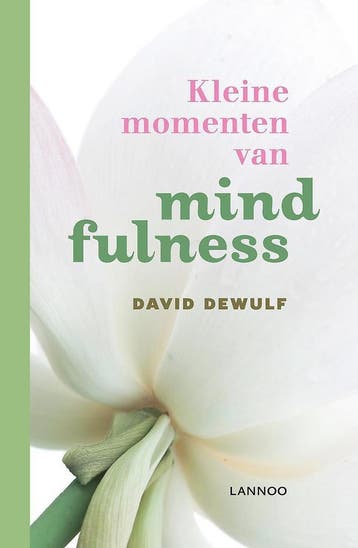Kleine momenten van mindfulness - David Dewulf - 97890209421, Verzenden, Nieuw