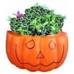 Pompoen plantenbak, Verzenden, Nieuw