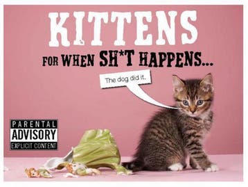 Kittens for When Sh*t Happens - Trevor Davies 9781846014178, Verzenden, Gelezen, Trevor Davies