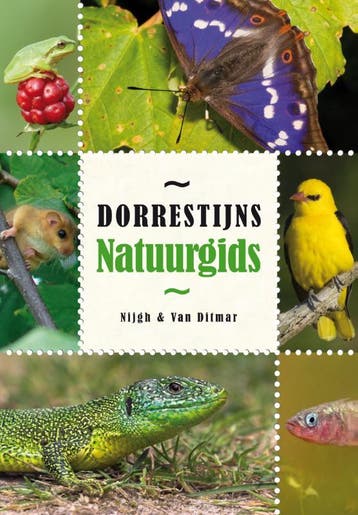 Dorrestijns natuurgids - Hans Dorrestijn 9789038893471, Verzenden, Zo goed als nieuw, Hans Dorrestijn