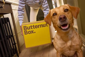 Vers hondenvoer van Butternut Box, Nieuw