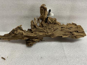 As 417Fine Sinkingwood 30x14x9cm aquarium decoratie hout, Verzenden, Nieuw, Plant(en), Steen of Hout