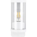 LED Tuinverlichting - Buitenlamp - Wandlamp - Trion Tino -, Nieuw, Ophalen of Verzenden, Hanglamp, Led