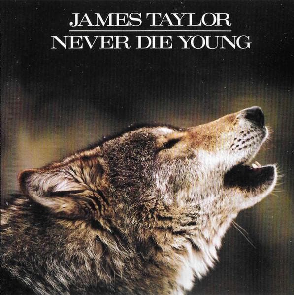 cd - James Taylor - Never Die Young, Cd's en Dvd's, Cd's | Overige Cd's, Zo goed als nieuw, Verzenden