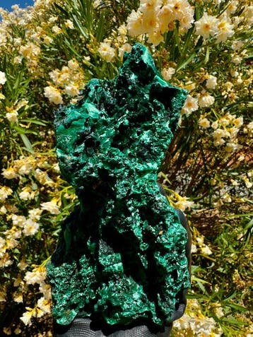Betoverende diepgroene malachiet Kristal op matrix - Hoogte: