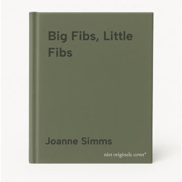 Big Fibs, Little Fibs - Joanne Simms 9780749931902, Verzenden, Gelezen, Joanne Simms